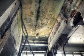 Best Biohazard Mold Removal  in Tarrytown, NY